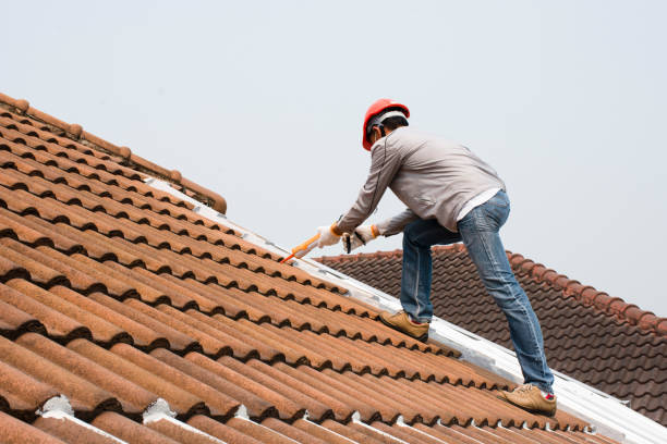 Best Roof Ventilation Installation  in Fort Benton, MT